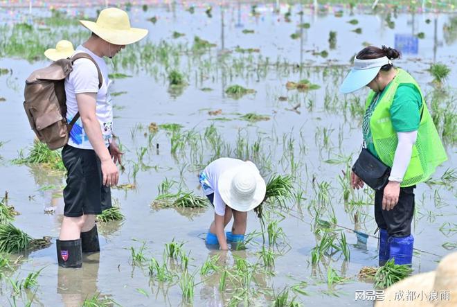 关于活动跟拍摄影的技巧分享丨实用性高(图3)