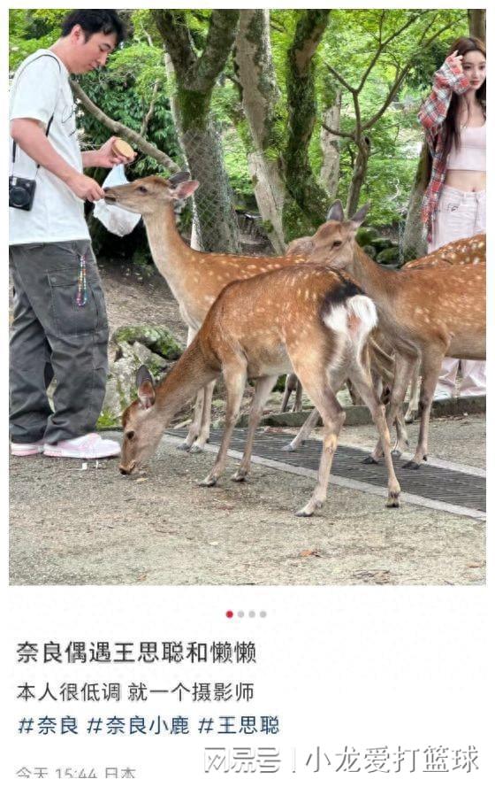 九游体育：王思聪携懒懒喂小鹿男方头发凌乱显圆润不帮女友背包遭吐槽(图1)