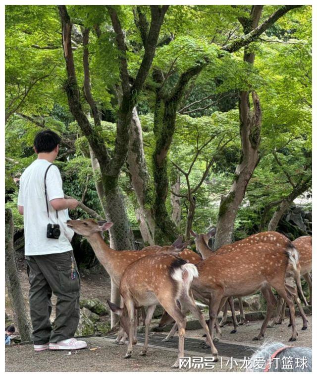 九游体育：王思聪携懒懒喂小鹿男方头发凌乱显圆润不帮女友背包遭吐槽(图8)