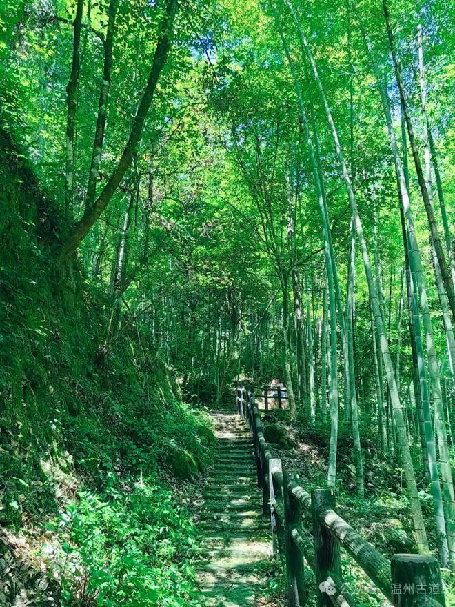 九游体育：温州这个少数民族村居然是浙南著名的婚纱摄影基地山水景观更是一方人间仙境！(图24)