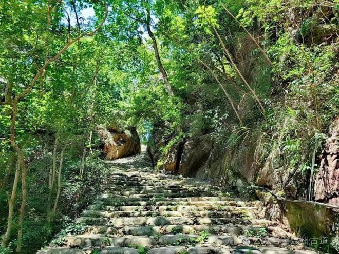 九游体育：温州这个少数民族村居然是浙南著名的婚纱摄影基地山水景观更是一方人间仙境！(图28)