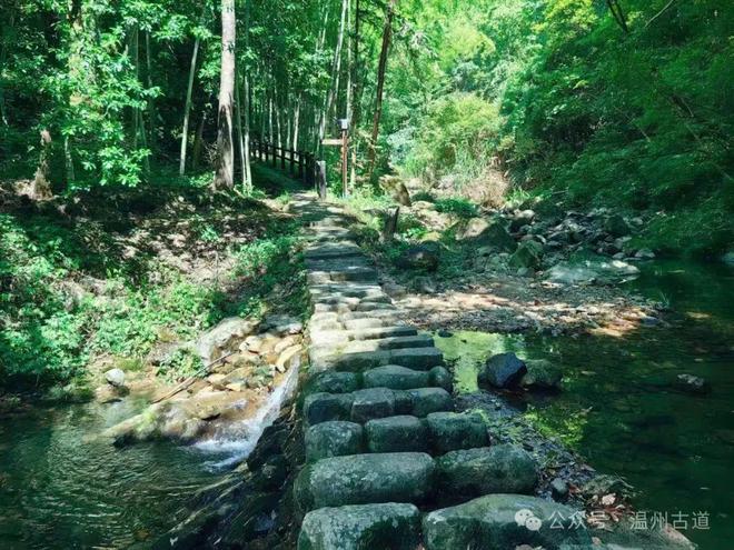 九游体育：温州这个少数民族村居然是浙南著名的婚纱摄影基地山水景观更是一方人间仙境！(图25)