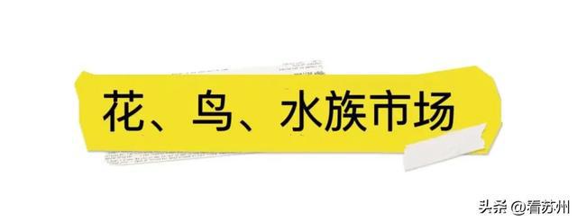 九游体育：舍不得！今日正式撤场街坊组团扫货已陪伴广州人28年的“平靓正”宝藏地……(图12)