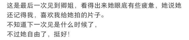 央视董卿出席活动遭替换知名摄影师曝其现状：称她自由了引热议(图1)