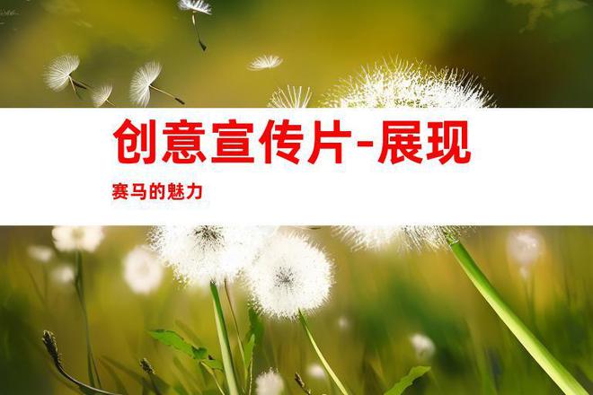 九游体育：驰骋赛马宣传片拍摄苏州专业微电影、TVC广告片企业制作(图2)