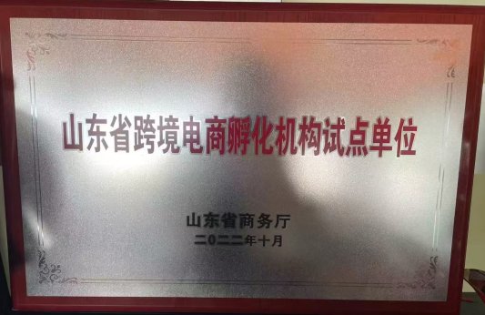 喜讯!泰山区3家企业荣获“2024年度山东省跨境电商知名品牌”荣誉称号(图2)